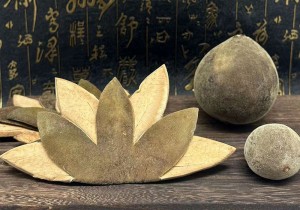 化橘红是什么东西？化州橘红果子