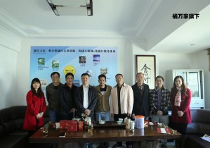 发展历程
